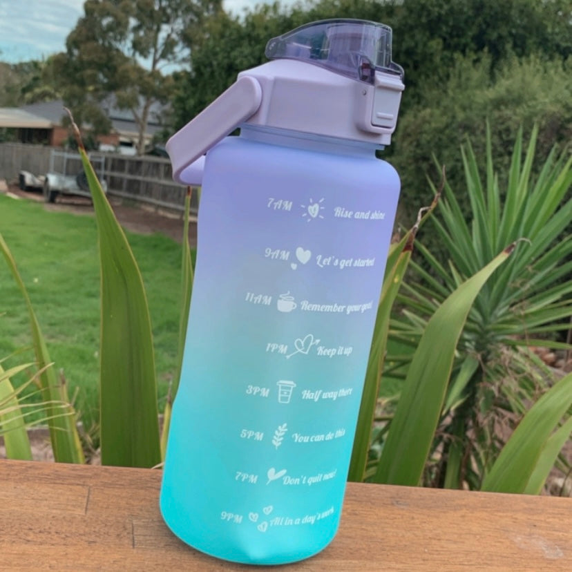 Purple/Blue Drink Bottle